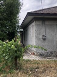 Продам будинок Черняхівка, 50 соток, є скважина. фото 7 Продам будинок Черняхівка, 50 соток, є скважина. фото 7