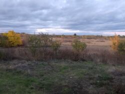 ������ ������� ���� 2