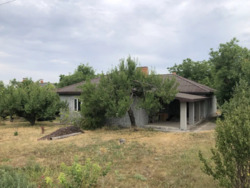 Продам будинок Черняхівка, 50 соток, є скважина. фото 1 Продам будинок Черняхівка, 50 соток, є скважина. фото 1