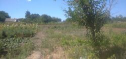 Продам будинок в селищі Компаніївка фото 4 Продам будинок в селищі Компаніївка фото 4