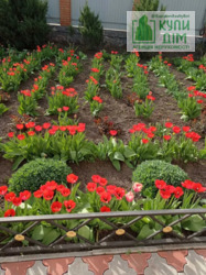 ������ �������� ����������� ������� 10 �� �� ���� ���� 5