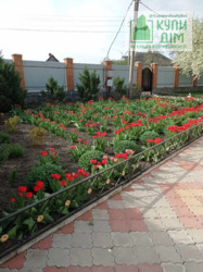 ������ �������� ����������� ������� 10 �� �� ���� ���� 7