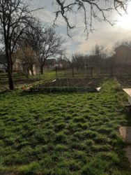 Продам дачу Радист, фото 3 Продам дачу Радист, фото 3