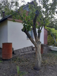 продам дачу Кропивницький. фото 2 продам дачу Кропивницький. фото 2