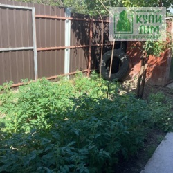 ������ ������� ������� �� ������� ����� ���� 18