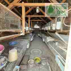 ������� � ������� �� ���� ���� 17