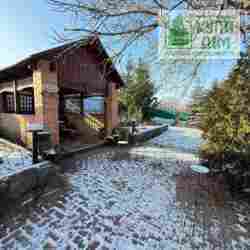 ������� � ������� �� ���� ���� 19