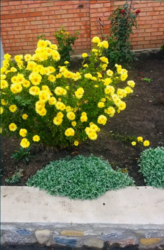 ������ ��� �� ��������� ���� 10