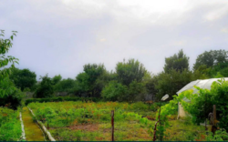 Продам добротный дом в р-не Кущевки фото 3 Продам добротный дом в р-не Кущевки фото 3