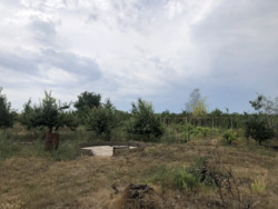 Продам будинок Черняхівка, 50 соток, є скважина. фото 13 Продам будинок Черняхівка, 50 соток, є скважина. фото 13