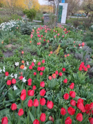 ������ ������� �.������������ ���� 7