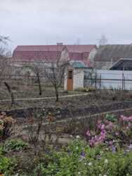 ��� ��̲Ѳ� ��� �������! ���� 2