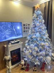 ��������� 1/2 ������� ���� 11