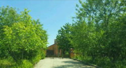 ��������� ������� �� ����� ��������� ���� 11