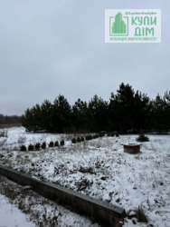 ������ ������� �. ����������� ���� 11