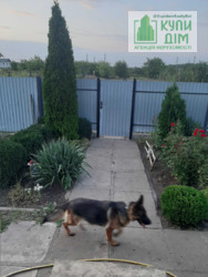 Продам будинок на п.Новому фото 7 Продам будинок на п.Новому фото 7