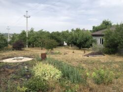 Продам будинок Черняхівка, 50 соток, є скважина. фото 14 Продам будинок Черняхівка, 50 соток, є скважина. фото 14