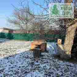 ������� � ������� �� ���� ���� 20