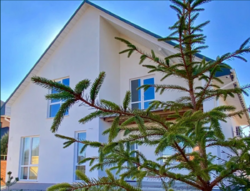 ������ ��� �� ��������� ���� 1