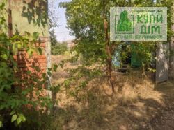 ������ ���� ����� �� ����� 12 ���� 4