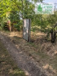 ������ ���� ����� �� ����� 12 ���� 3