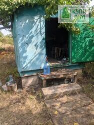 ������ ���� ����� �� ����� 12 ���� 2