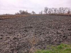 ��������� ������� � ��� �������, ������������ ������� ���� 13