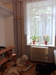 2к квартира в частном секторе на Пушкина фото 16 2к квартира в частном секторе на Пушкина фото 16