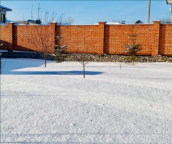 ������ ��� �� ��������� ���� 14