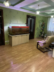 ��������� ������� ����������, ����������, ʳ������������ ���� 3