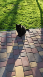 Частный дом на большую семью фото 19 Частный дом на большую семью фото 19