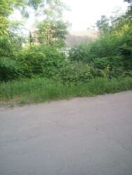 Продається садиба в с. Іванівка фото 5 Продається садиба в с. Іванівка фото 5