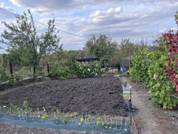 Продається будинок Кропивницький, Кіровоградська, Передмiстя, С.Т. Радист фото 3 Продається будинок Кропивницький, Кіровоградська, Передмiстя, С.Т. Радист фото 3