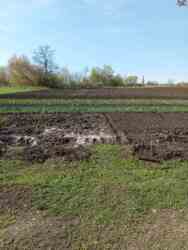 ������ ������� � �.������������ ���� 15