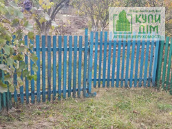 ��������� ���� �� ����������. ���� 1