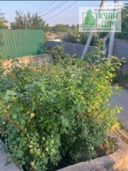 ������ ��������� ������� � ���� ����������� �� ������ ����� ���� 25