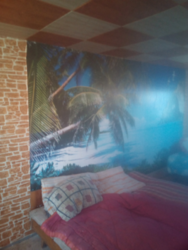 Продам дачу на соколовке дачный участок Гидросила фото 5 Продам дачу на соколовке дачный участок Гидросила фото 5