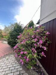 ��������� ��������� ������� ��� ������� ���� 6