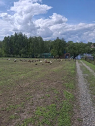 Будинок з річкою на 75 сотках землі фото 4 Будинок з річкою на 75 сотках землі фото 4