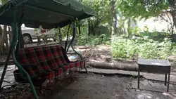 ��������� ��-������� (�����) ���� 13