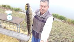 ���� � ��.������ ��� ���� ���� 17