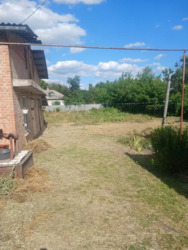 ��������� ������� �������������, ʳ������������, ���������� (����������), ��������i��� ���� 19