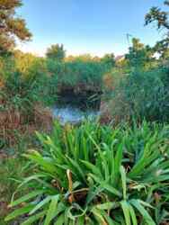 Дом со своим берегом. фото 3 Дом со своим берегом. фото 3