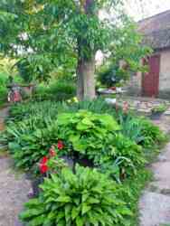 Дом со своим берегом. фото 6 Дом со своим берегом. фото 6