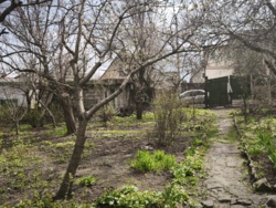 ������ ������� 64�+6,5��� �-� ��. �������� ���� 10