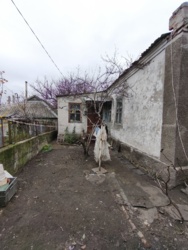 ������ ����� ���� 55,3�+3,3��� ���� ������������� ���� (��������, ��������, ���) ���� 5