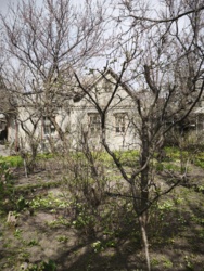 ������ ������� 64�+6,5��� �-� ��. �������� ���� 2