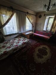 Продам будинок у центрі селища Яворницьке (Іларіонове) для життя таабо під бізнес фото 7 Продам будинок у центрі селища Яворницьке (Іларіонове) для життя таабо під бізнес фото 7