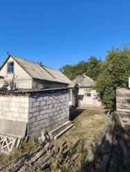 Продам будинок у центрі селища Яворницьке (Іларіонове) для життя таабо під бізнес фото 14 Продам будинок у центрі селища Яворницьке (Іларіонове) для життя таабо під бізнес фото 14