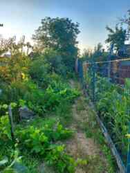 Дом со своим берегом. фото 5 Дом со своим берегом. фото 5